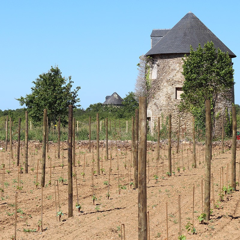 Les clés du domaine