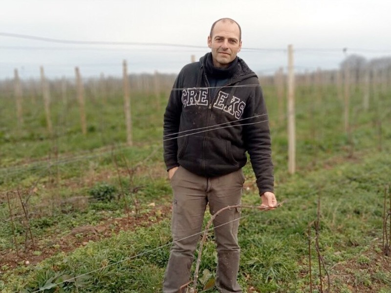 Sarzeau. 5 hectares de vignes entre golfe du Morbihan et océan