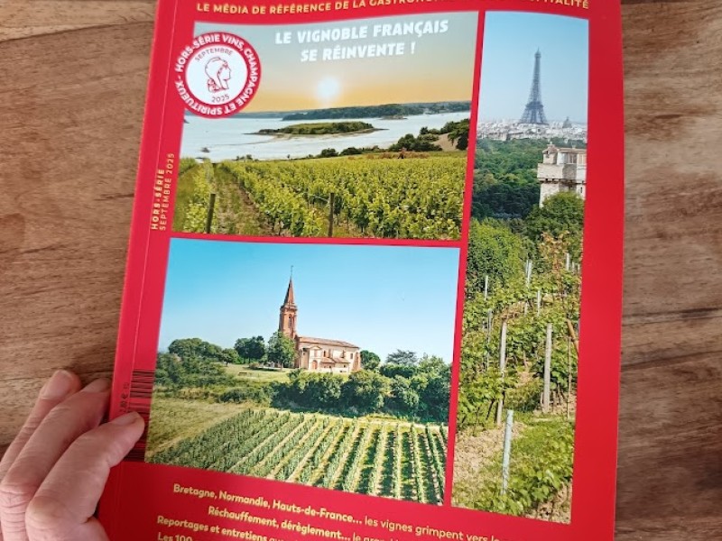 91/100 au Gault Millau -  Dantelezh Chenin 2023 